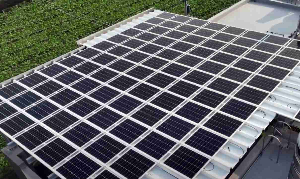 欧陆注册SunSteel光电浪板升级双玻结构，，，，以提升机械负载强度及气候耐候度，，，可广泛运用于多元场域